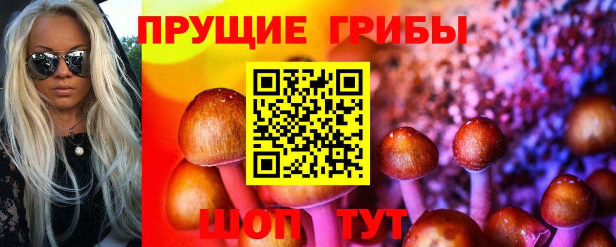 Псилоцибиновые грибы Cubensis  Галлюциногенные грибы ЛСД  Вход с VPN  Анапа 